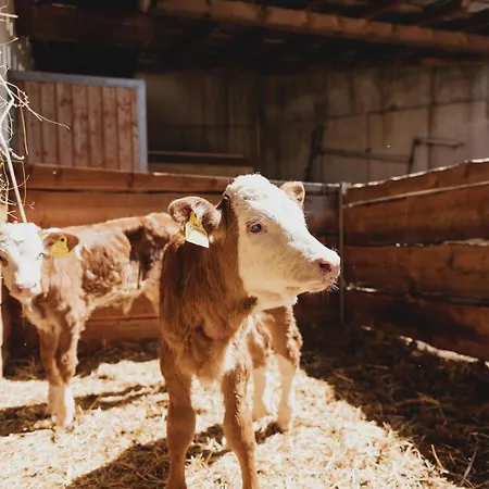 Feldinggut בית חווה