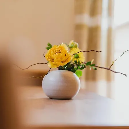 Feldinggut باد هوفغاستين