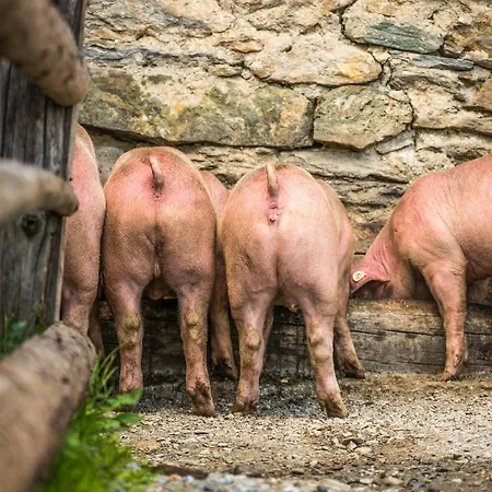 Farm stay Feldinggut *